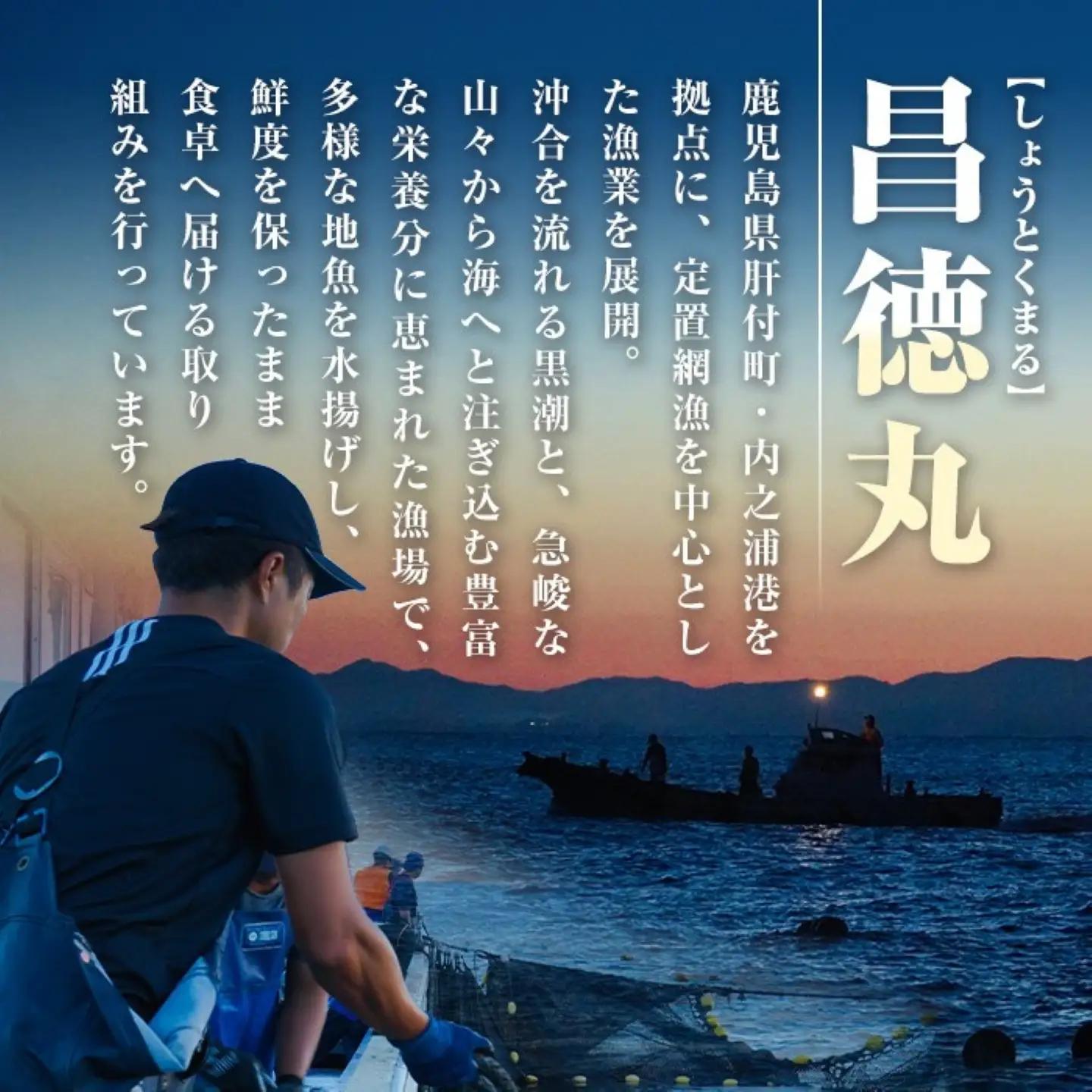 【A78004】ロコフィッシュ 地魚 下処理済 鮮魚 ボックス 約4～5kg エコ包装 鮮魚BOX 【昌徳丸】