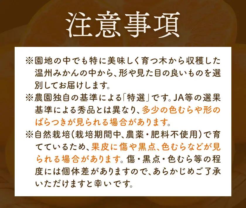 特選 温州みかん 2kg 池田農園