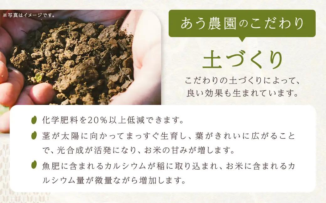 【令和7年産】 ひめの凜プレミアム＆自然環境米 鬼北のせせらぎ（コシヒカリ） 各5kg 計10kg コシヒカリ ひめの凜プレミアム 鬼北のせせらぎ 米 お米 ご飯 飯 愛媛県【えひめの町（超）推し！（