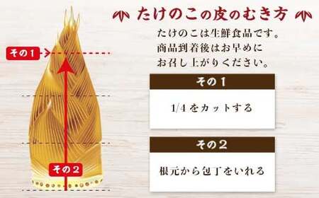 【B32001】〈先行受付〉秘めの里 姫門のたけのこ(約2kg) 鹿児島 国産 たけのこ 筍 タケノコ 野菜 産地直送 煮物 味噌汁 炊き込みご飯【秘めの里 姫門のたけのこ】