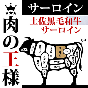 牛肉 ステーキ サーロイン 220g×3枚 特選 サーロイン肉 土佐黒毛和牛 Ａ５～Ａ４ 等級 バーベキュー BBQ 冷凍 高知県 須崎市