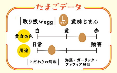 【7か月定期便】君嶋養鶏園のたまご Lサイズ 30個（27個＋割れ補償3個）×7ヶ月 計210個 | 定期便 7ヶ月 7か月 7ヵ月 卵 玉子 たまご 赤卵 赤たまご 生卵 国産 濃厚 鶏卵 コク 旨