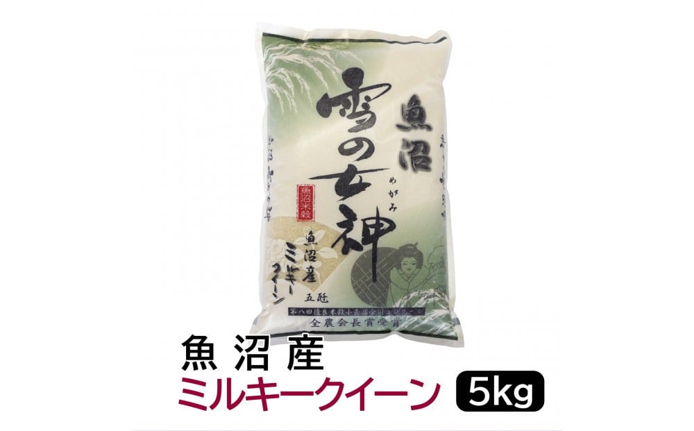 
                  【令和7年産】お米マイスター厳選！魚沼産ミルキークイーン5kg　新潟県 新潟 米 魚沼 魚沼産 ミルキークィーン 米 お米 5キロ　5KG
                