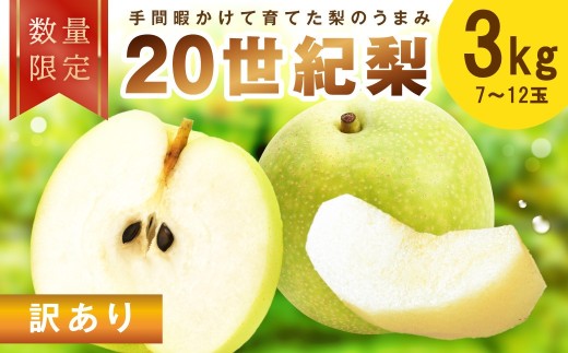 【先行予約／数量限定100】訳あり 廿世紀梨 3kg（2026年9月上旬～発送）　フルーツ くだもの 国産 梨 二十世紀 20世紀 廿世紀 ふるさと 納税 梨 ふるさと納税 フルーツ ふるさと 納税 20世紀梨 わけあり ワケアリ 訳有り　FK00034