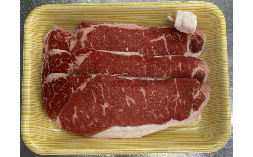 岡山県産 牛肉 サーロインステーキ 450g(150g×3枚) _A46