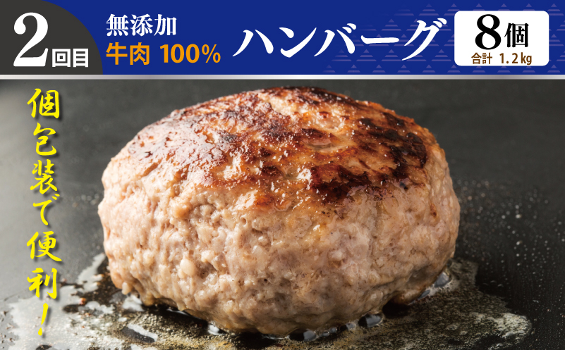 店主セレクト 食べ比べ 定期便 全4回（ハンバーグ／しらす／スンドゥブチゲ／サムギョプサル）【毎月配送コース】