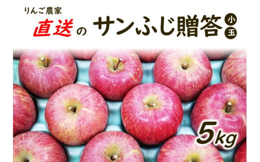 KR16-24A  りんご サンふじ （小玉） 贈答 約5kg / 11月下旬頃～配送予定 // 長野県 南信州 松川町 ギフト りんご リンゴ 林檎 サンふじ