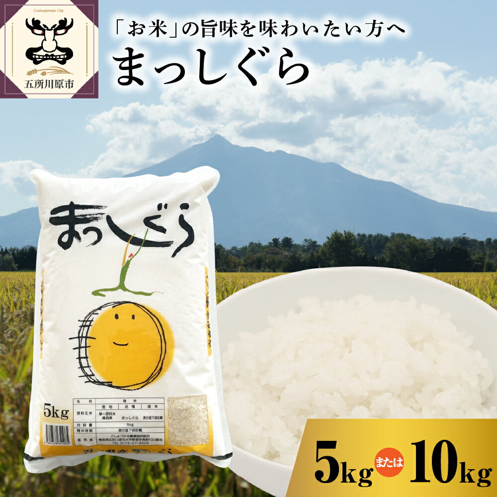 【ふるさと納税】 令和7年産 まっしぐら 白米 内容量が選べる 5kg 10kg / 配送時期が選べる 【 精米 あおもり米 ブランド米 青森 五所川原市 】 あっさりして食べやすい カレーや丼ものにおすすめ お米 米 五所川原