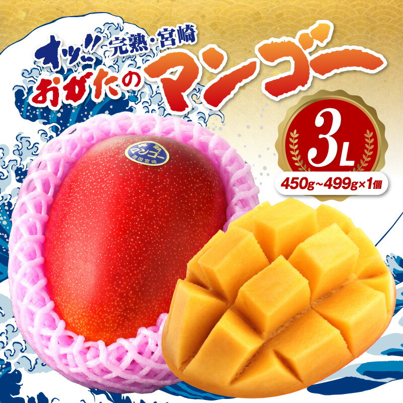 【ふるさと納税】【期間・数量限定】おがたのマンゴー 完熟宮崎マンゴー 3Lサイズ(450～499g)×1個 のし対応可 限定 マンゴー 完熟マンゴー 宮崎マンゴー 果物 フルーツ デザート スイーツ 贈答 贈り物 ギフト プレゼント 化粧箱入り 化粧箱 宮崎市 送料無料
