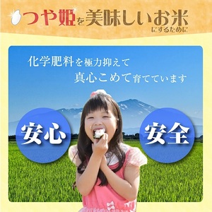 1287R07M03b　庄内産つや姫5kg（令和7年産米）3月中旬