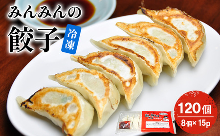 みんみんの餃子120個 （8コ×15パック） 餃子専門店 みんみん みんみん餃子 ギョーザ ぎょうざ ギョウザ 富山 惣菜 おかず 中華 点心 冷凍 冷凍食品 肉加工品 加工品 富山県高岡市