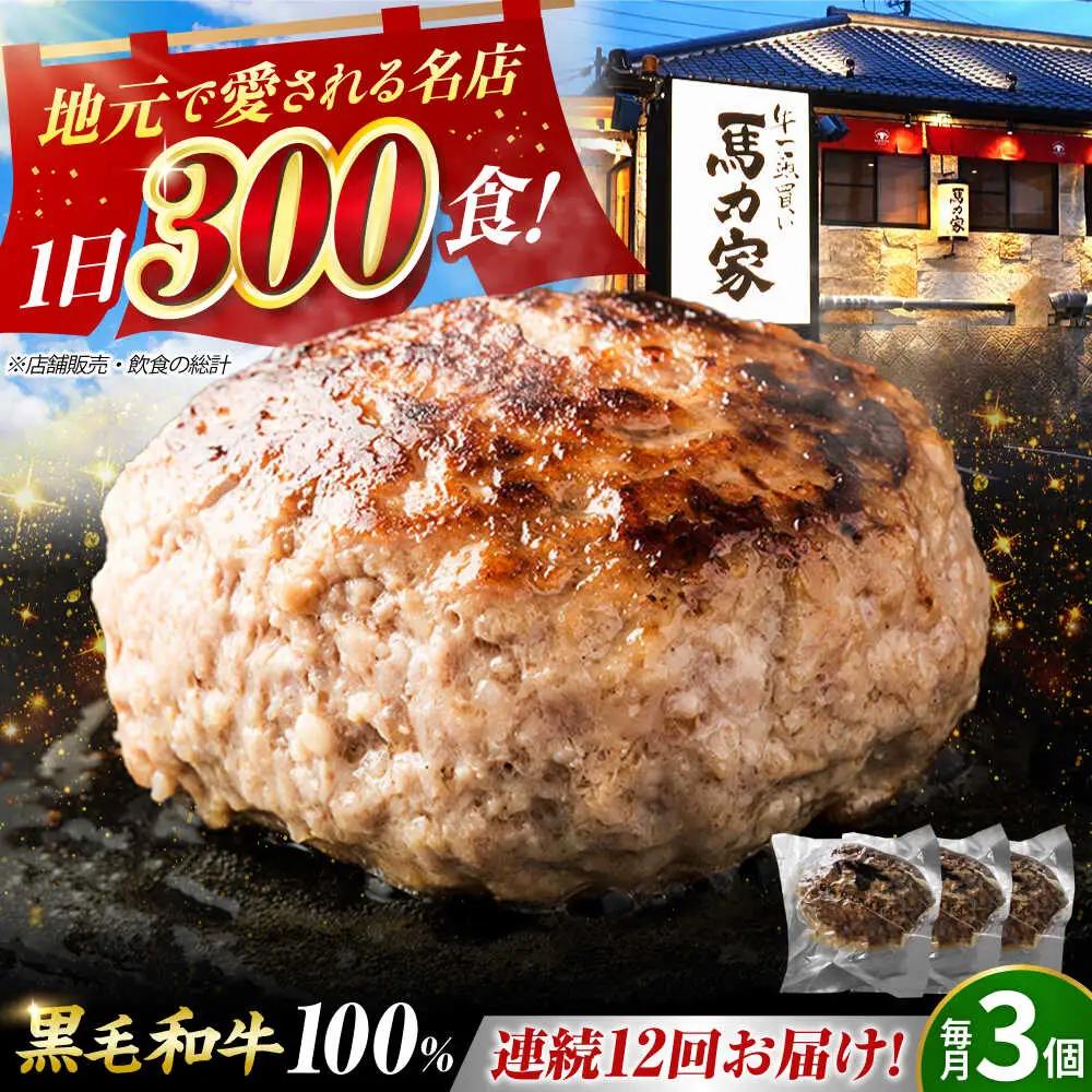 【12回定期便】超ハンバーグ ミニ 3個[AVBO065]飛騨牛 定期便