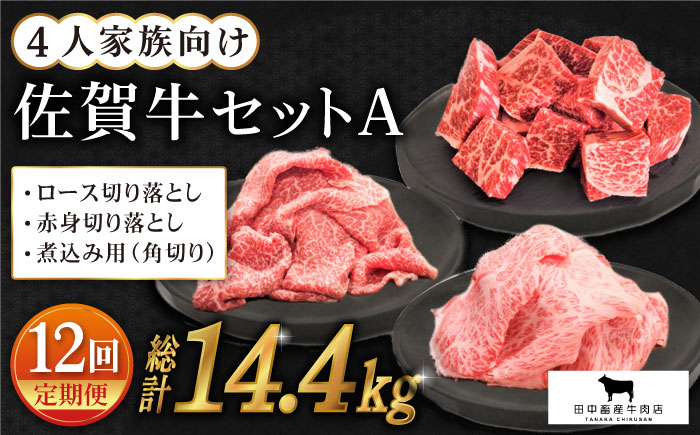 【全12回定期便】4人家族向け 佐賀牛 普段使いセットA【田中畜産牛肉店】 [HBH070] 牛肉