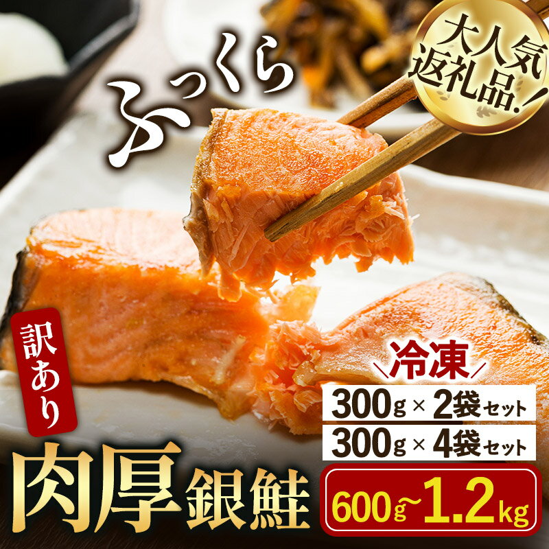 【ふるさと納税】＼選べる内容量／訳あり塩銀鮭切り身＜600g(300g×2袋)／1.2kg(300g×4袋)＞【V003250】【配送不可地域：離島】 銀鮭 鮭 ふるさと納税訳あり鮭切り身 ふるさと納税訳あり食品 ふるさと納税シャケ切り身 サーモン 冷凍 高たんぱく 銀鮭切身 不揃い 家計応援