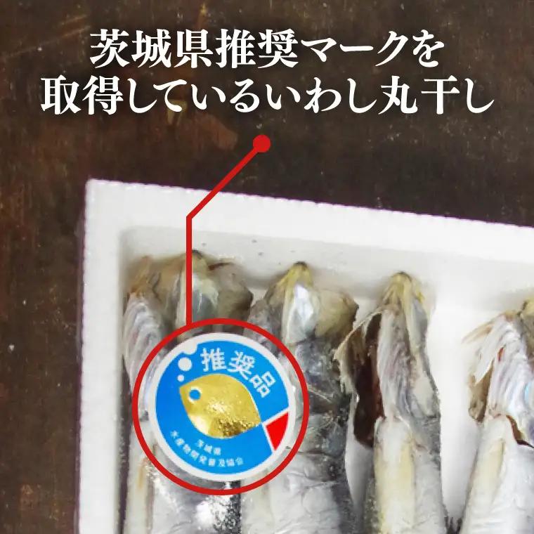 いわしの丸干し（８尾）４セット|イワシ 魚  干し魚 受賞 食品 推奨マーク 茨城県 北茨城市（BH009）