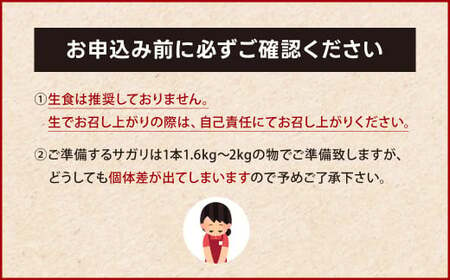 幻のサガリ これが和牛のサガリです 【2025年6月上旬～下旬発送予定】 黒毛和牛 和牛 サガリ 肉 お肉 高級 サシ 焼肉 BBQ 希少 新鮮 国産 九州産 冷蔵