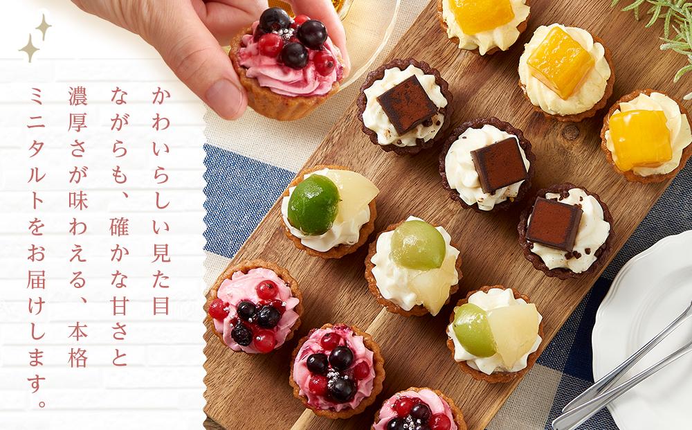 定期便 3ヶ月 フレッシュ タルト 専門店  STYLE 岡山みに たると 詰め合わせ 15個入り ケーキ タルト 詰合せ お菓子 スイーツ