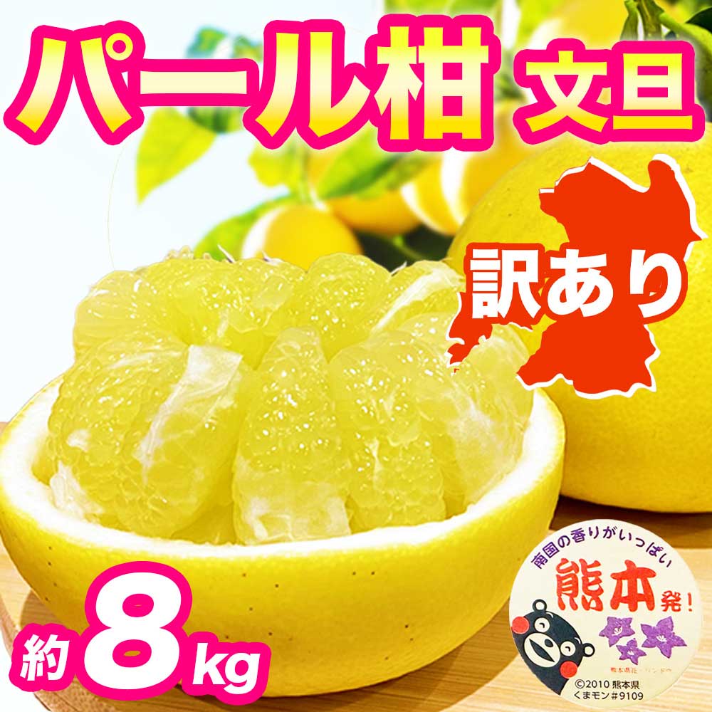 先行予約 訳あり パール柑 文旦 約8kg 果物 フルーツ くだもの 柑橘 【2027年2月上旬〜2027年3月下旬配送予定】文旦 ぶんたん 果物 フルーツ くだもの 柑橘 グレープフルーツ 国産 熊本 熊本県 九州 産地直送 わけあり ワケアリ 日本フルーツ