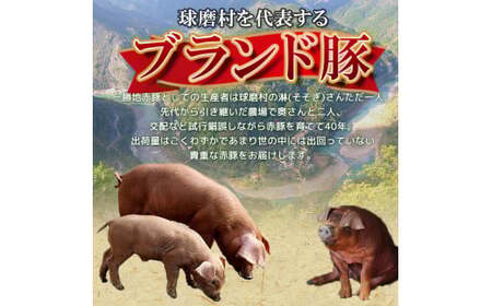  ≪6ヵ月定期≫一勝地赤豚しゃぶしゃぶセット（1kg） FKP9-462