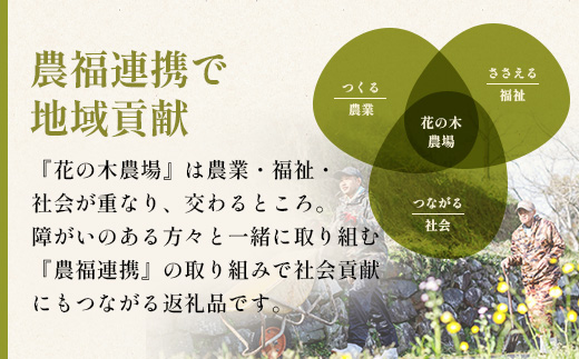花の木農場 鹿児島県産 豚ミンチ 約2kg（500g×4パック） HK-14｜ 豚肉 ミンチ肉 精肉 冷凍 国産 お肉 ハンバーグ 餃子 ミートソース 農福連携 鹿児島県 南大隅町 第2花の木ファーム