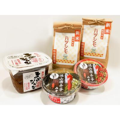 ふるさと納税 岐阜県 まめなかな味噌と特栽米ハツシモのセット