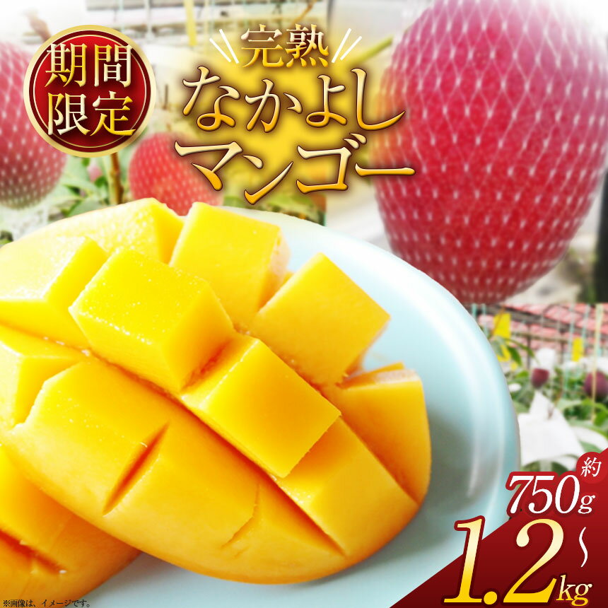 【ふるさと納税】【2025年夏先行予約受付】【期間限定】完売必須！完熟なかよしマンゴー 約750g 約1.2kg｜先行予約 期間限定 トロピカル 甘い 贈答用 ギフト ふるさと納税 マンゴー 美味しい 果物 フルーツ デザート 完熟 先着順 約750g 約1.2kg 栃木県 那珂川町 送料無料