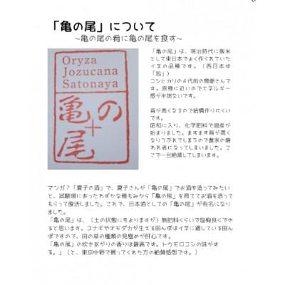 ふるさと納税 胎内市 自然なお米(亀の尾:玄米) 5kgOryza Jozucana Satonaya/新潟県城塚未検査米 |  | 01