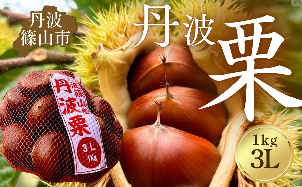 
                  〈品評会受賞〉丹波栗 3L 1kg 【低温追熟】安心安全 レシピ付き クリ くり 栗ご飯 栗きんとん 兵庫県丹波篠山市
                