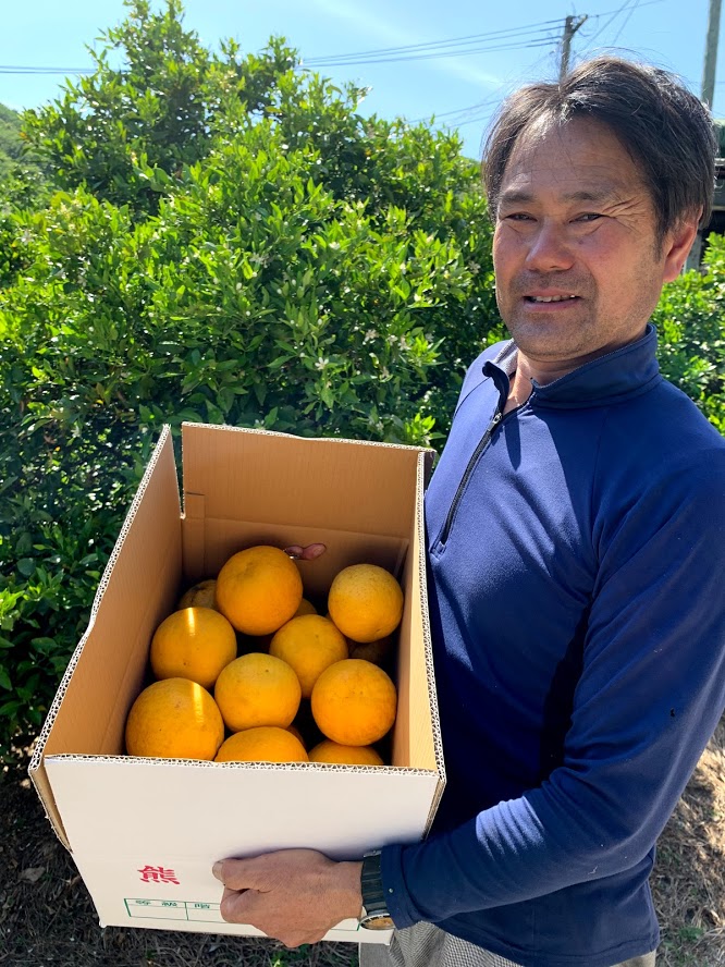 宇城市産ジューシーオレンジ 約10kg 20玉前後【吉良果樹園】【5月上旬から8月下旬発送予定】