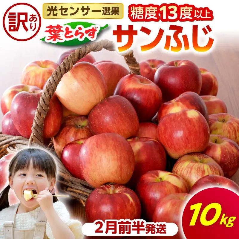 【2027年2月前半発送】【訳あり】 りんご 葉とらずサンふじ 約10kg 青森県産 サンふじ