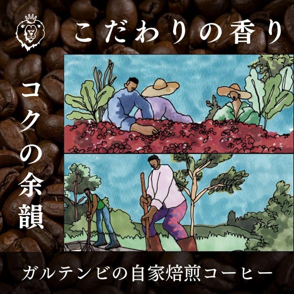 【ふるさと納税】ガルテンビコーヒー 2種飲み比べセット　豆のまま　500g（250g×2袋） | 珈琲 飲料 コーヒー豆 ソフトドリンク 人気 おすすめ 送料無料