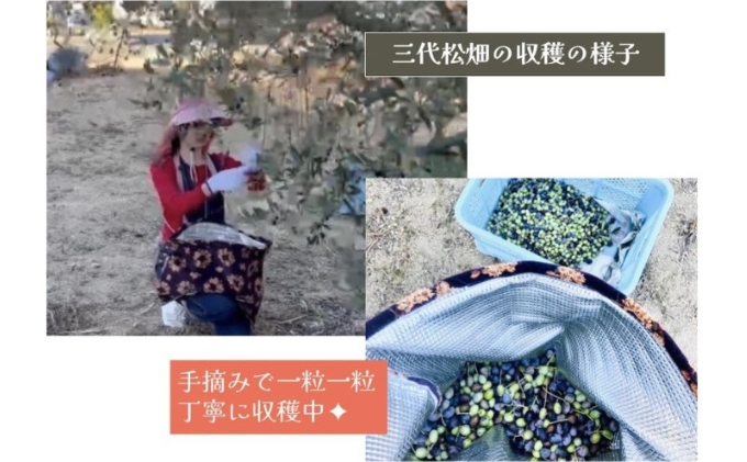 小豆島産オリーブオイル 100% 搾りたて 小豆島産三代松家オ