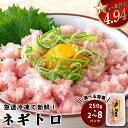 【ふるさと納税】 ネギトロ 高評価 ☆4.94 500g ～ 2kg 冷凍 鮪 小分けパック 250g パック ( 鮪 まぐろ マグロ キハダ 冷凍 小分け ネギトロ ねぎとろ ねぎまぐろ まぐろたたき マグロのたたき ふるさと納税マグロ ふるさと納税まぐろ ふるさと納税ネギトロ 高知 須崎 )