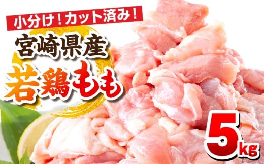 【3月発送予定】宮崎県産若鶏 もも肉 5kg(250g×20パック)_M146-008_02_mar