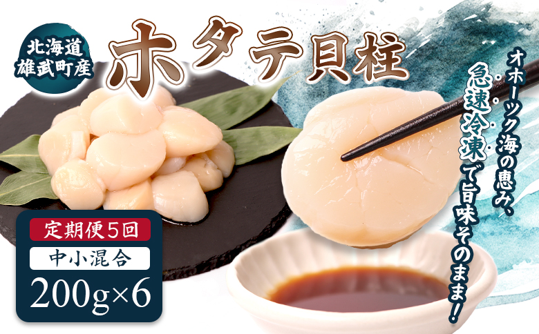 【定期便5回】　北海道雄武町産ほたて貝柱 中小混合 200g×6 (冷凍) 使い切りパック【07144】