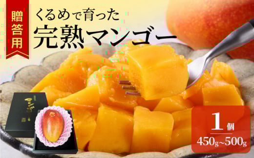 くるめで育った完熟マンゴー（1玉：約450～500g）_先行予約 贈答用 くるめで育った 完熟マンゴー 1個 約 450g~500g 2025年6月下旬から順次お届け 甘い 子供も安心 高糖度 地植栽培 ビタミンA トロピカル フルーツ 果物 マンゴー 国産 クール便 先行受付 ギフト お取り寄せ 福岡県 久留米市 送料無料_Fm015