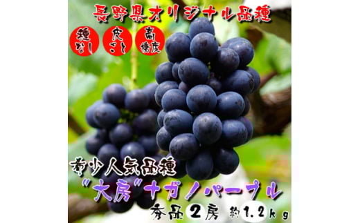 厳選! 濃厚 大房 ナガノパープル 秀品 2房 (約1.2kg)_ ぶどう ブドウ 葡萄 フルーツ 果物 くだもの ふるさと 人気 美味しい ギフト プレゼント 贈り物 長野県 中野市 【1234911】
