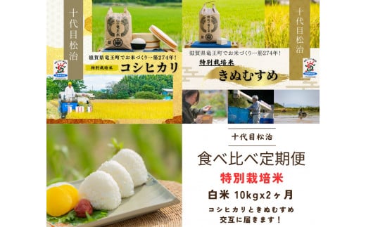  【新米予約】 定期便 コシヒカリ きぬむすめ 食べ比べ 白米 各10kg× 2ヶ月 ( 令和6年産 先行予約 新米 白米 10kg 20kg 定期 2回 2品種 お米 おこめ ごはん 米 特別栽培米 ブランド米 ライス こだわり米 ギフト 国産 縁起の竜王米 滋賀県竜王町 )