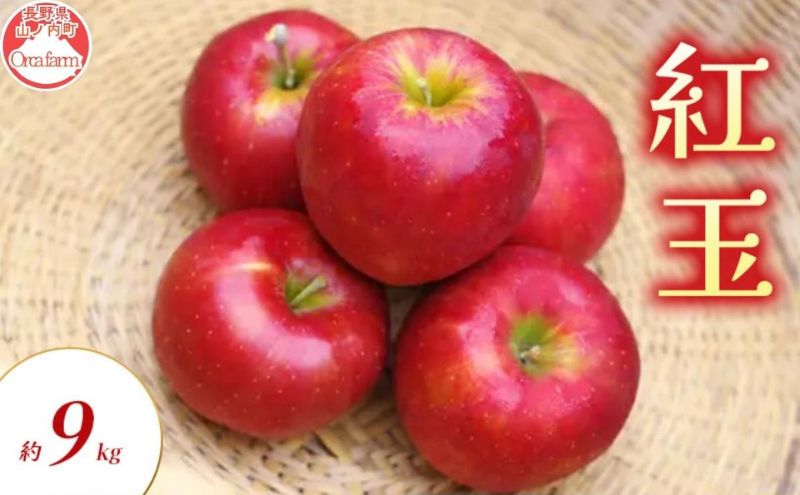 紅玉 約9kg りんご リンゴ 林檎 果物 フルーツ 長野県 長野 山ノ内町