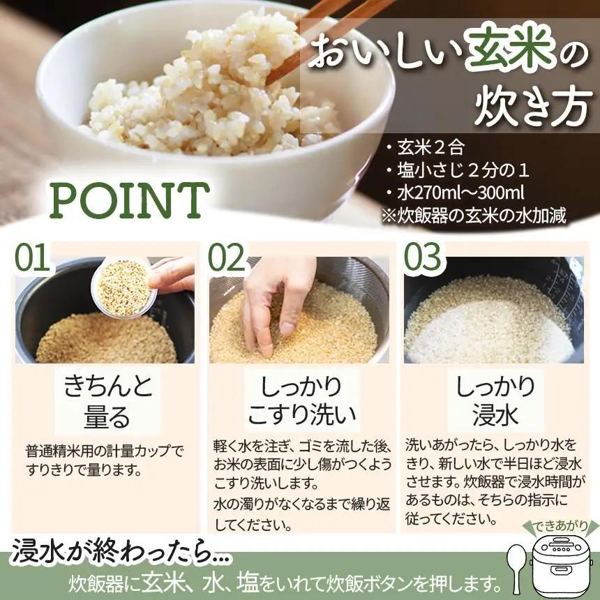 お米 令和8年産 こしひかり 玄米 10kg【2026年 先行予約】 | 栃木県共通返礼品 真岡市産