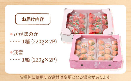 【先行予約】赤白 いちご 豪華 食べ比べセット【岸川農園】[IAP028]