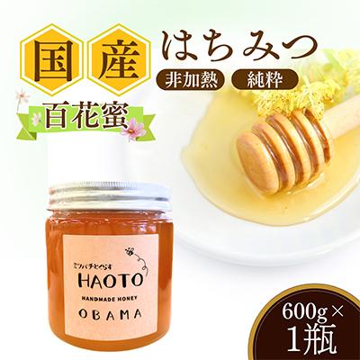 ふるさと納税 小浜市 はちみつOBAMA