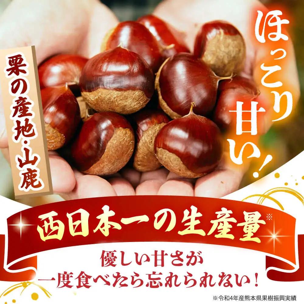先行予約やまが和栗大粒むき栗渋皮付 約600g(約150g×4pc)ZES002