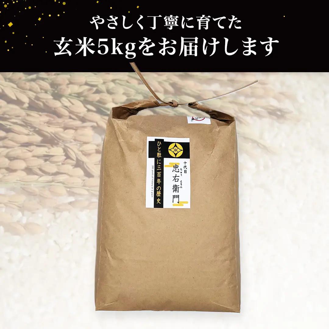 令和7年産 ＜ 6月出荷 ＞ 玄米 5kg 三百年 続く農家 の 有機特別栽培米 コシヒカリ