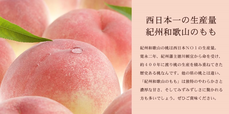 和歌山の桃 秀品 [約3.8～4kg] (サイズ・品種おまかせ) ※2026年6月中旬～2026年8月中旬頃に順次発送予定　紀伊国屋文左衛門本舗 和歌山 もも モモ 桃 果物 フルーツ 人気 産地直送