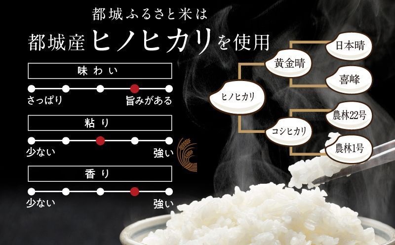 都城ふるさと米(ひのひかり)無洗米10kg_27-9001