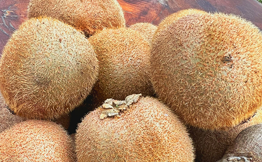 農園直送!訳アリキウイフルーツ2kg～2.4kg(24個～30個)【配送不可地域：離島・北海道・沖縄県・四国・九州】