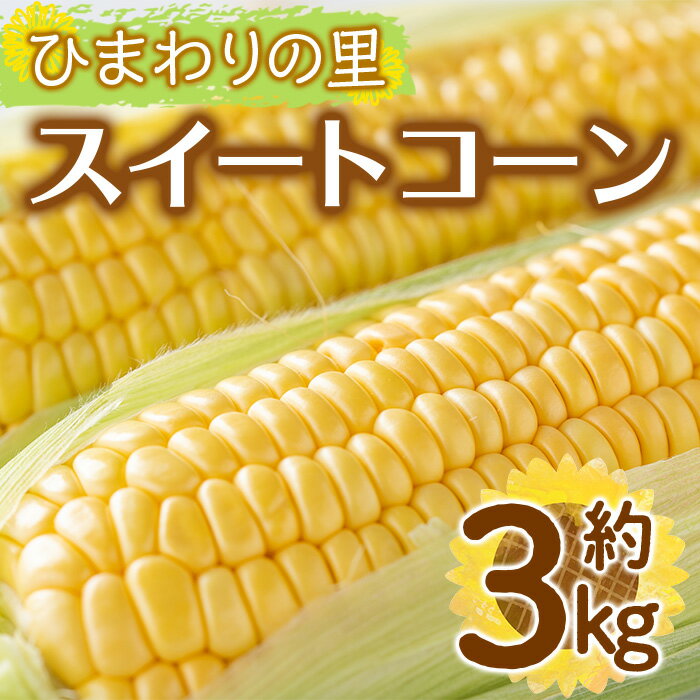 【ふるさと納税】＜先行予約！2026年6月上旬以降順次発送予定＞イエローコーン(約3kg) 国産 トウモロコシ 野菜 コーン とうもろこし 産地直送 新鮮 冷蔵便 【man113】【Aglio nero】