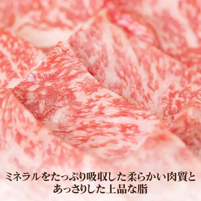【全3回定期便】 《A4～A5ランク》壱岐牛 極上 ロース 400g（焼肉用）《壱岐市》【壱岐市農業協同組合】 肉 牛肉 ロース 焼肉 赤身 BBQ [JBO083] 96000 96000円
