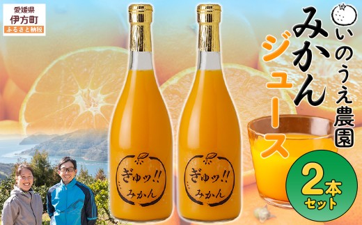 いのうえ農園 みかんジュース2本セット ※離島への配送不可  【ふるさと納税 人気 おすすめ ランキング 柑橘 みかん ミカン 蜜柑 ジュース ミカンジュース みかんジュース フルーツ 果物 産地直送 いのうえ農園 愛媛県産 愛媛県 伊方町 送料無料】 IKTAI014